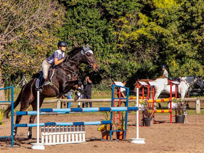 El Municipio de Junín acompañó el desarrollo de un Concurso Regional de Equitación 3 deportes torneo regional de equitacion 2