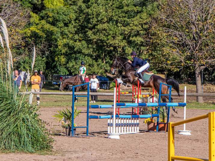 deportes torneo regional de equitacion 3
