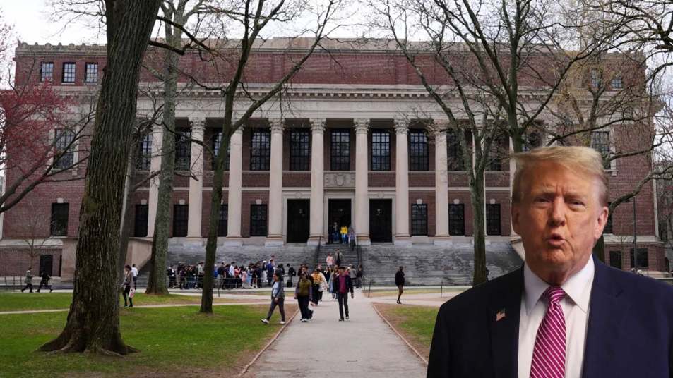 harvard