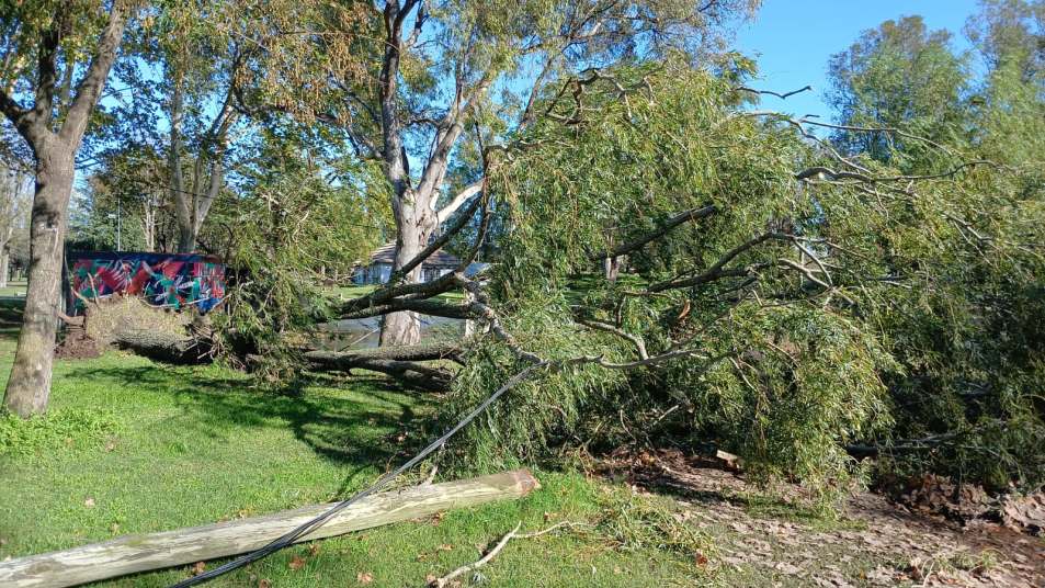 Tras las lluvias torrenciales, intenso despliegue de las cuadrillas municipales en todo Junín 2 trabajos pos temporal domingo 9